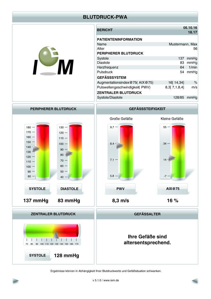 Beispiel eines vollständigen Pulswellenanalyse-Befundes