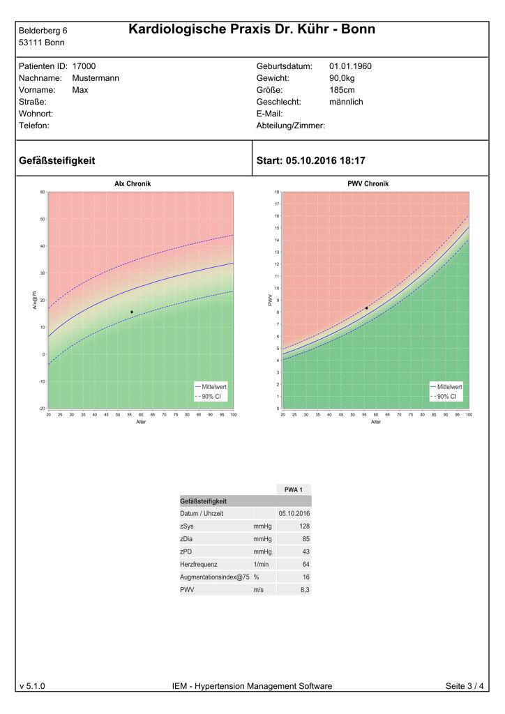 Beispiel eines vollständigen Pulswellenanalyse-Befundes